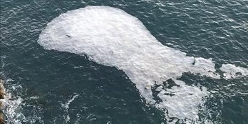 Chiazze oleose nel litorale rovignese